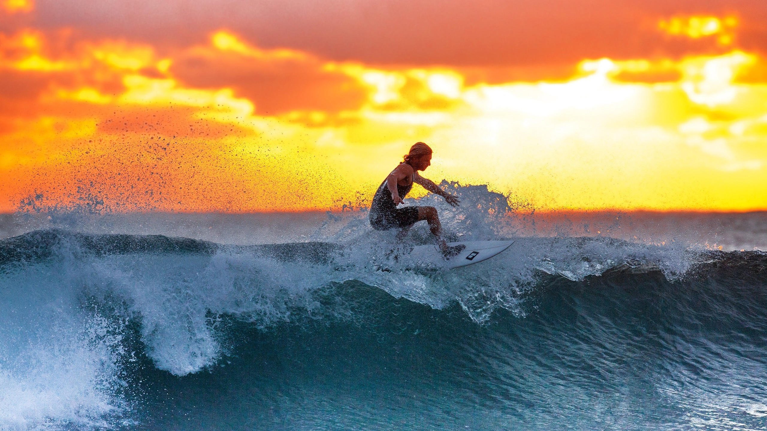 黑马崛起，保加利亚2026世界杯G组关键战大胜葡萄牙，奥斯梅恩领衔锋线，门将神勇封神
